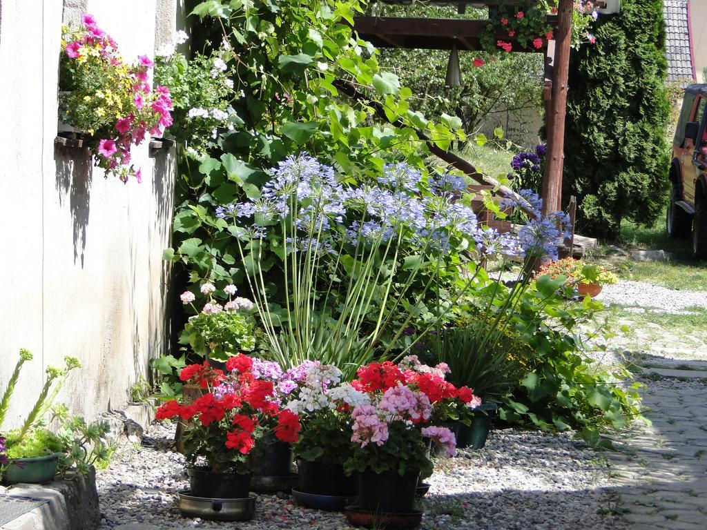 Farm stay Romanowka Oldrzychowice Klodzkie